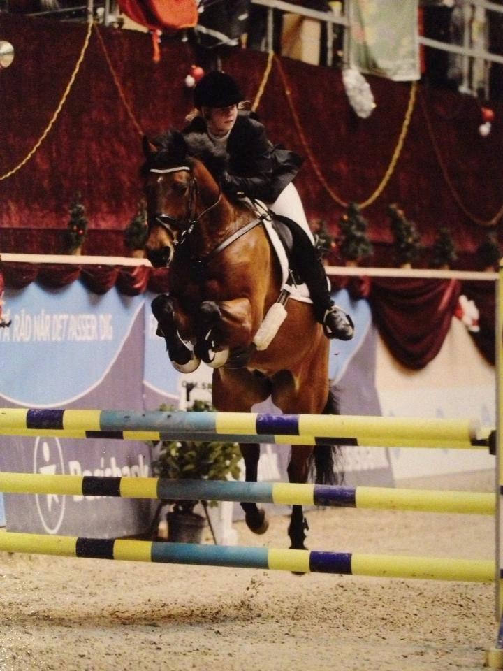 Anden særlig race Frederik Eliselund.<3 - Frederik Eliselund.<3 billede 18