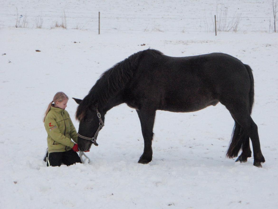 Anden særlig race Østerstrovstrups Sisco<3 billede 8