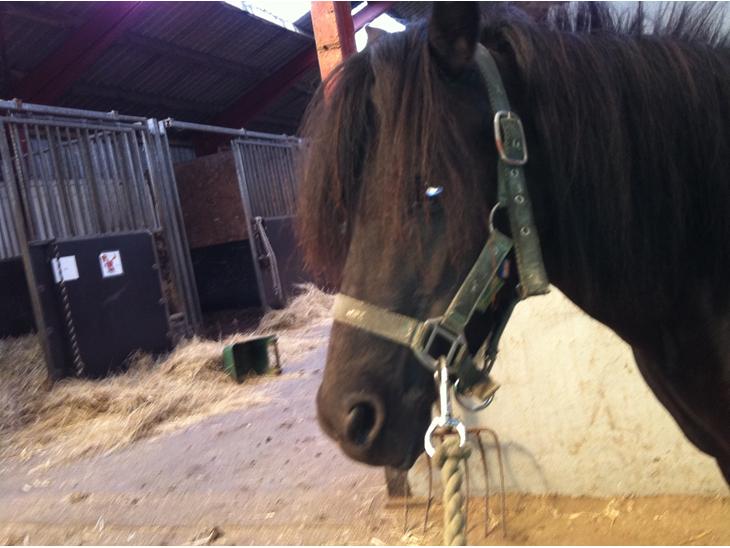 {{currentPhoto.altText}} billede {{currentPhoto.number}}