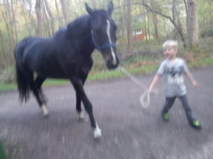 {{currentPhoto.altText}} billede {{currentPhoto.number}}