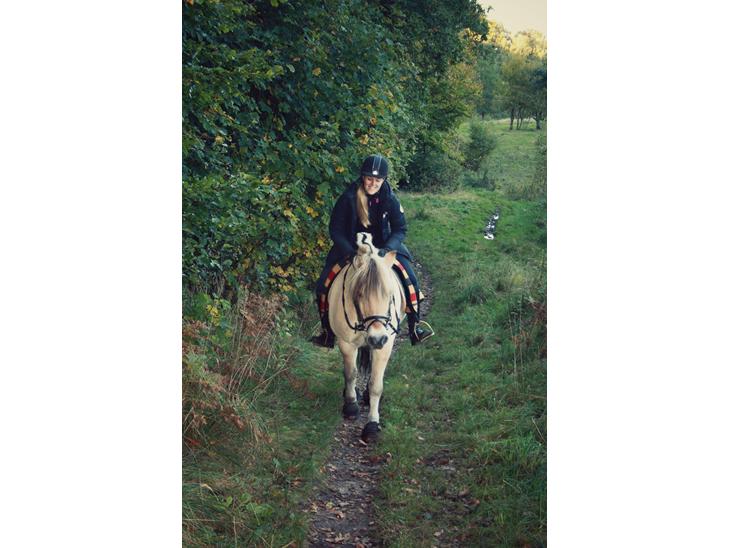 {{currentPhoto.altText}} billede {{currentPhoto.number}}