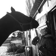 Anden særlig race Alladin