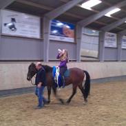 Traver Ibrahim Grimm