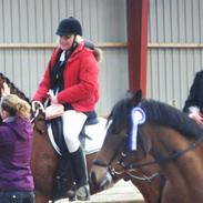 Hannoveraner Dirty Harry