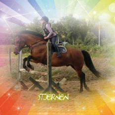 Anden særlig race Codiack