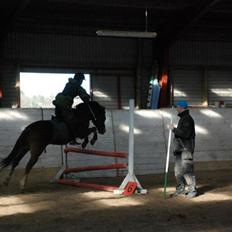 Anden særlig race manja.