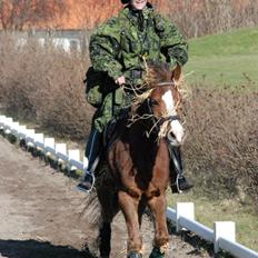 Anden særlig race manja.