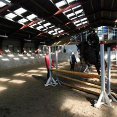 Anden særlig race manja.