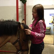 Anden særlig race Vanilla