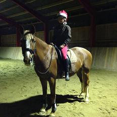 Dansk Varmblod Stenkærgårds Rubin  [Min Mors]