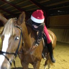 Dansk Varmblod Stenkærgårds Rubin  [Min Mors]