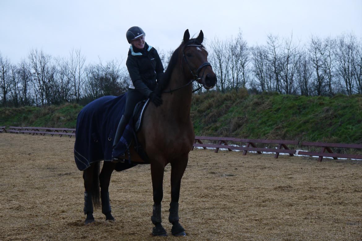 Dansk Varmblod Møllegårdens De Niz - 25-12-2012 billede 9