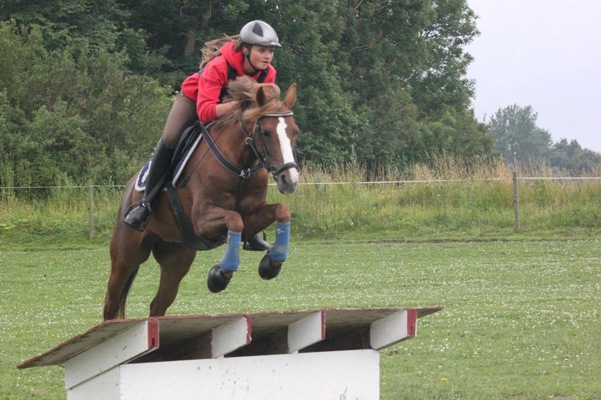 DSP Burton´s Empire (EMMI) - tærren træning 2012. billede 17