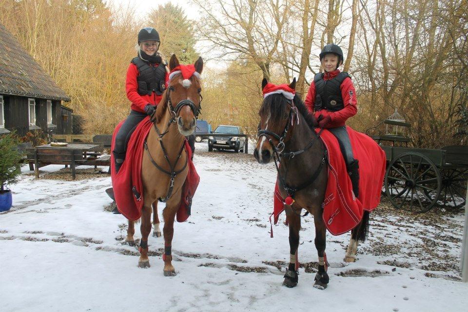 Anden særlig race Celina - Felippa & Lama + Celina & jeg.<3 - Jule dag. Foto: Tine. billede 23