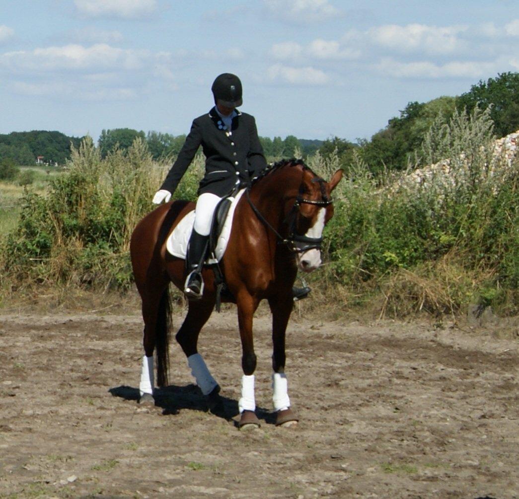 DSP Artemis Stengaard billede 16