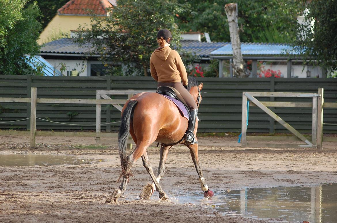 DSP Artemis Stengaard billede 17