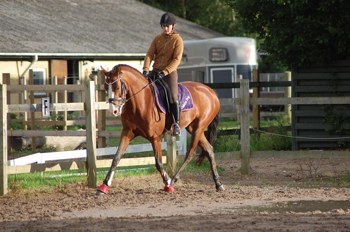 DSP Artemis Stengaard billede 18