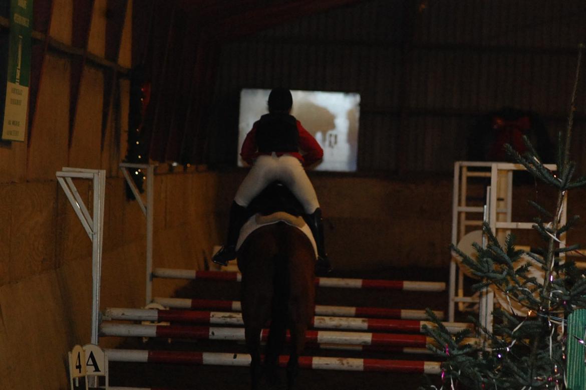 DSP Artemis Stengaard billede 19