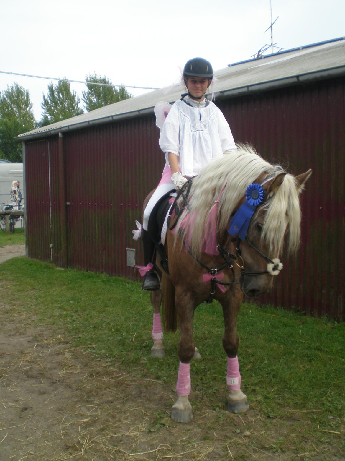 Tyroler Haflinger Amazone (Bailey) - Kostumespring og 2. plads / 2012  billede 13