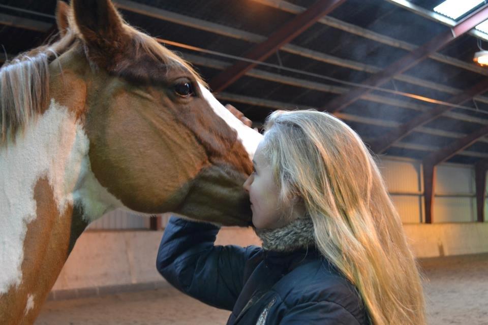 Anden særlig race Tai San Indiana - <3 <3 <3  billede 20