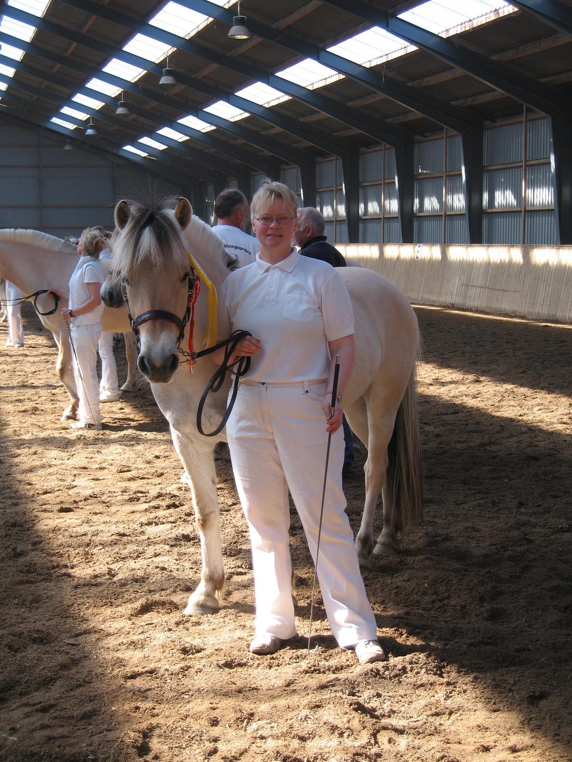 Fjordhest Bellis Vårby # Himmelhest - Bellis og jeg billede 4