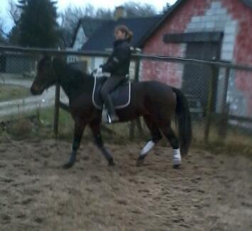 Traver Power Of Roll billede 5