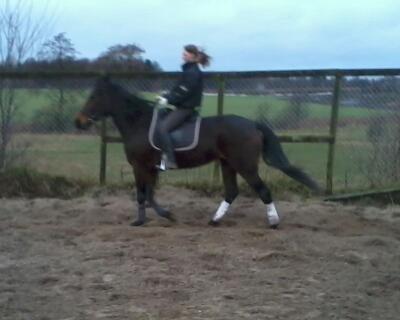 Traver Power Of Roll billede 6