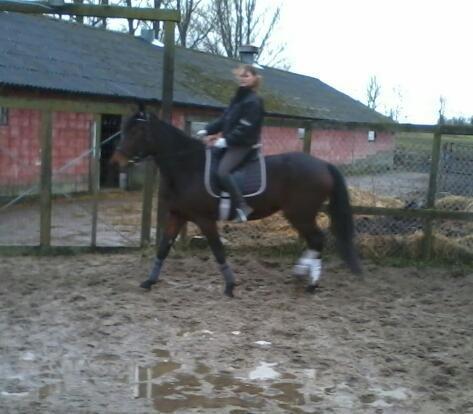 Traver Power Of Roll billede 8