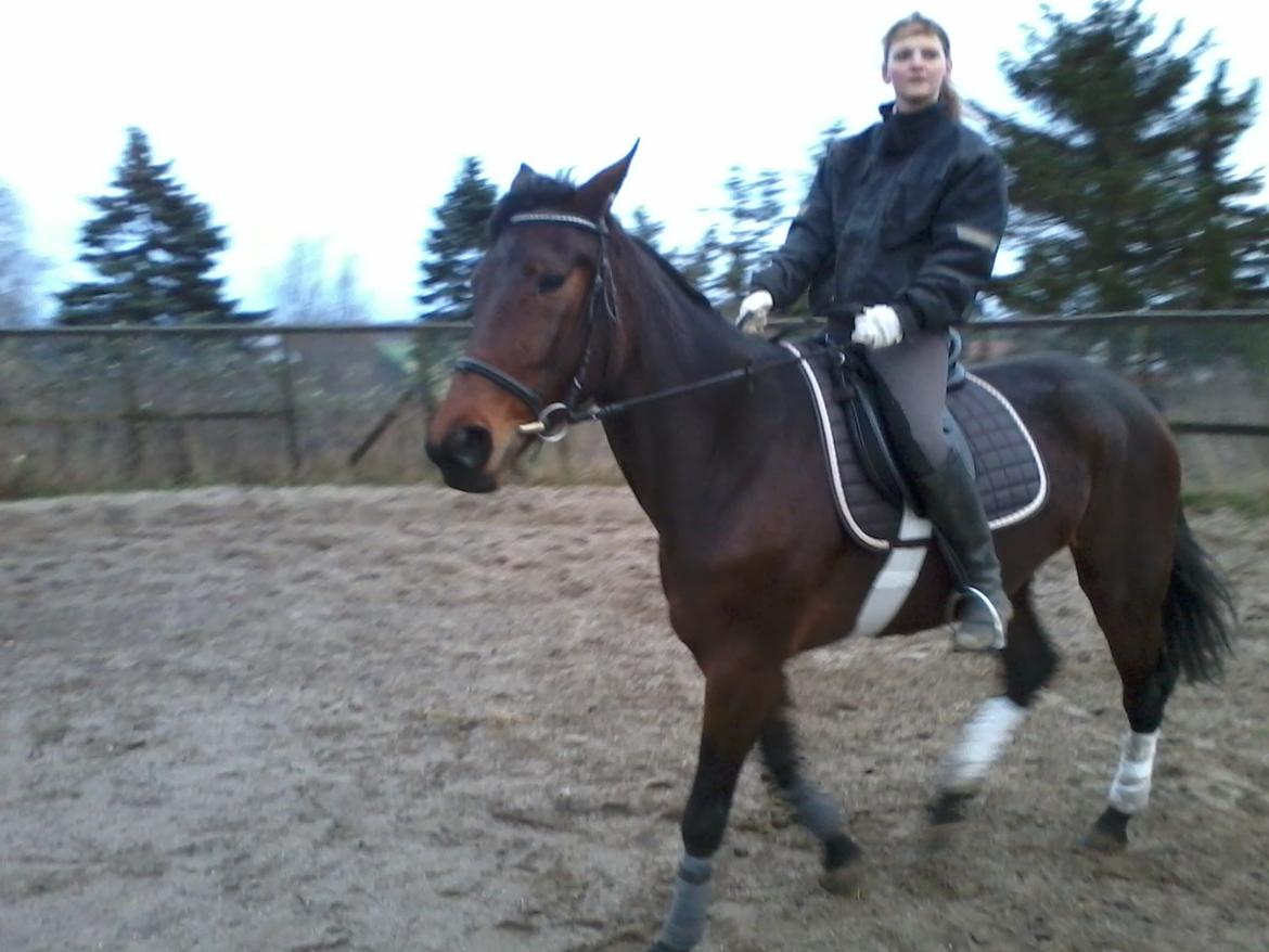 Traver Power Of Roll billede 7