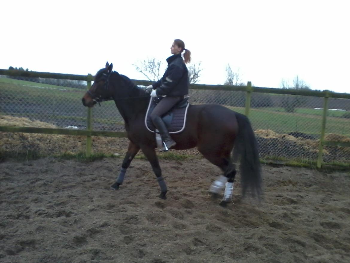 Traver Power Of Roll billede 12