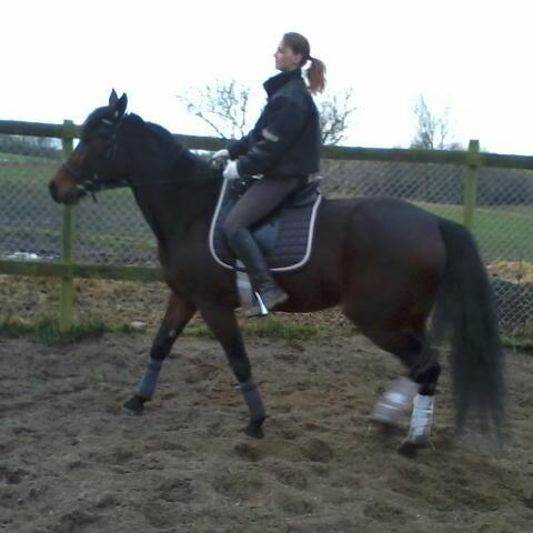 Traver Power Of Roll billede 13