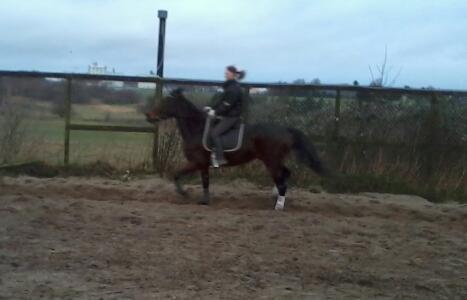 Traver Power Of Roll billede 14