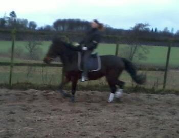 Traver Power Of Roll billede 15