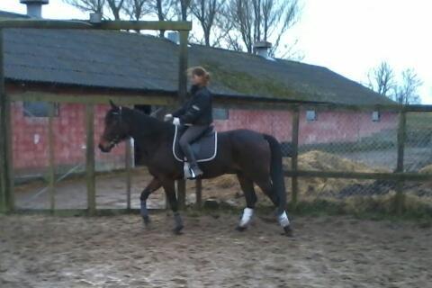 Traver Power Of Roll billede 16