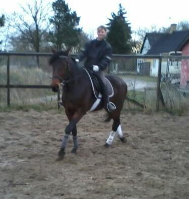 Traver Power Of Roll billede 17