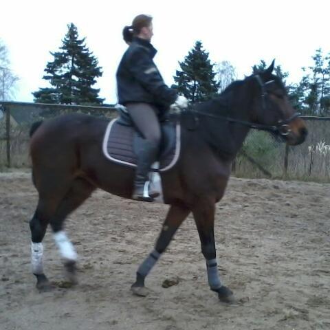 Traver Power Of Roll billede 18