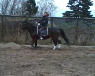 Traver Power Of Roll billede 19