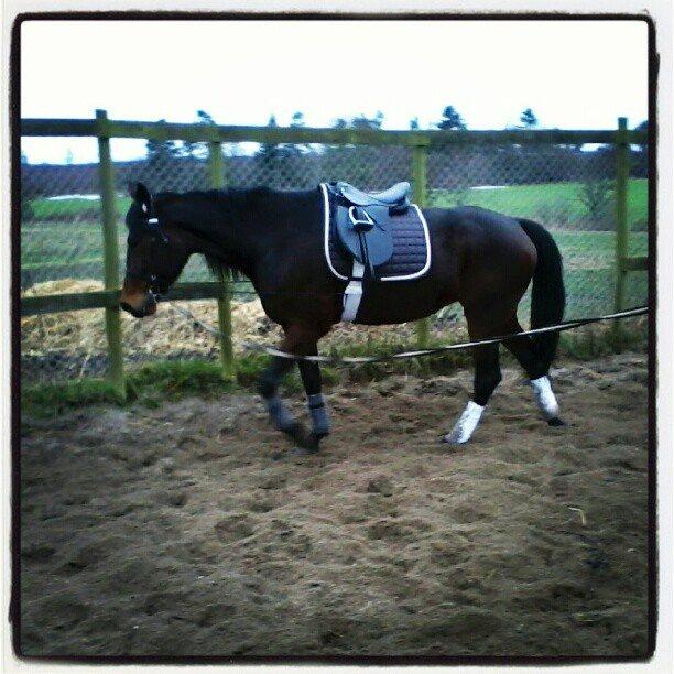 Traver Power Of Roll billede 20