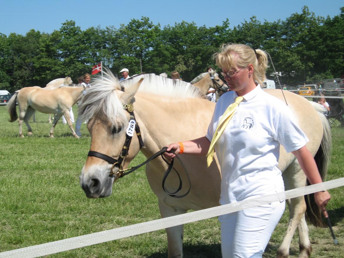Fjordhest Bellis Vårby # Himmelhest - Helene og Bellis billede 11