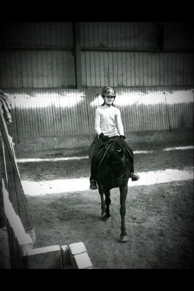 DSP Starhorse Fatima billede 4