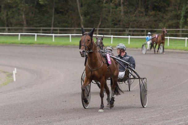 Traver Lynet Lendalund <3 - opvarmning inden løb <3 billede 14