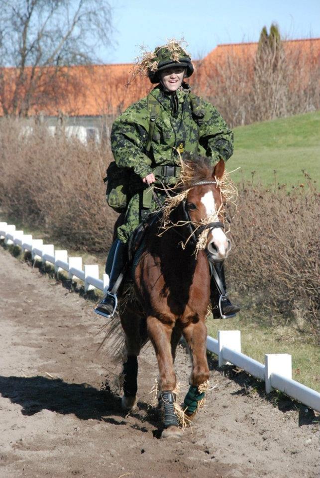 Anden særlig race manja. billede 2