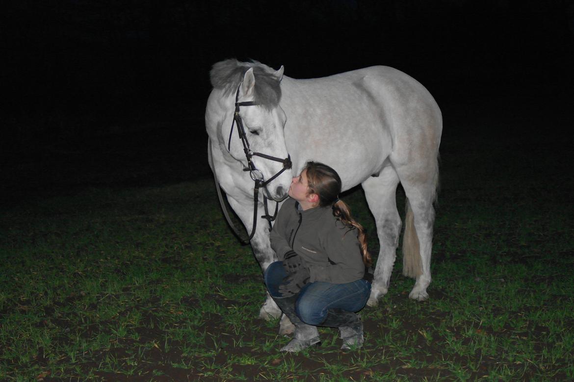 Anden særlig race silver (Min bedste ven) <3 - årh.. han er da for dejlig <3 billede 14