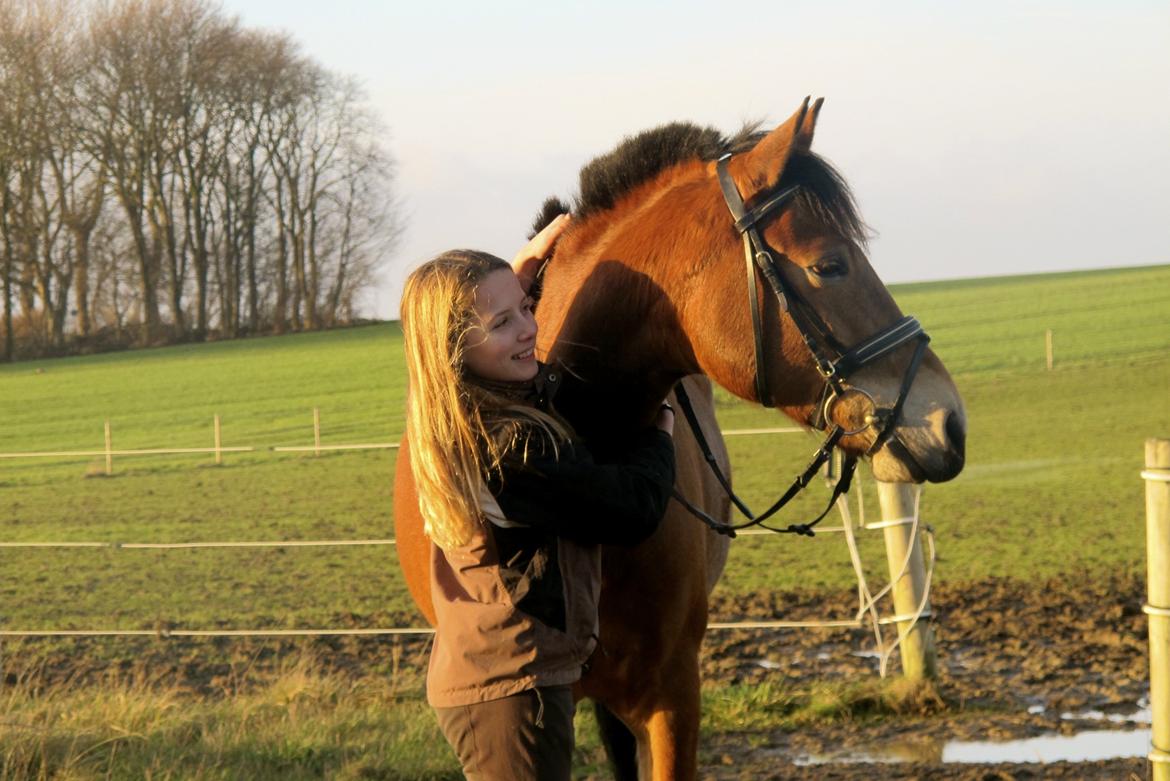 New Forest Fafner K. (Fafferlaf) - Tak for kigget! <3  billede 20