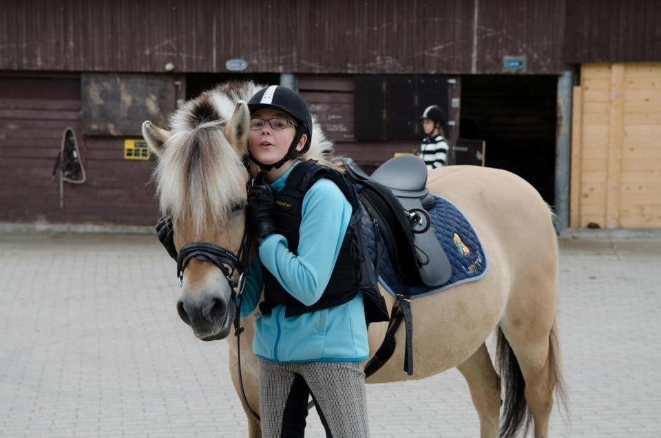 Fjordhest Tilde billede 7