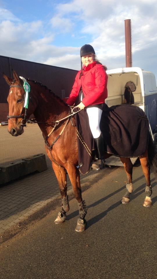 Hannoveraner Dirty Harry billede 2