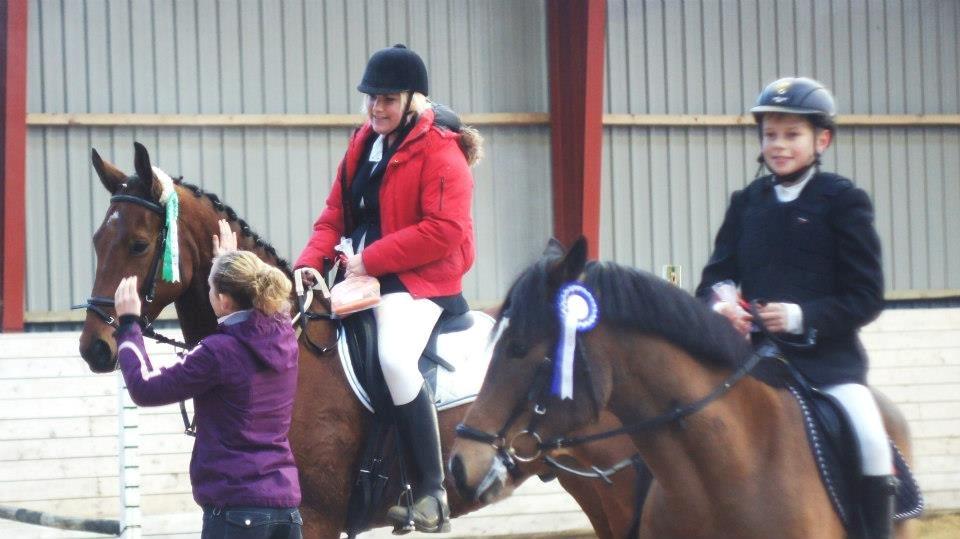 Hannoveraner Dirty Harry billede 4