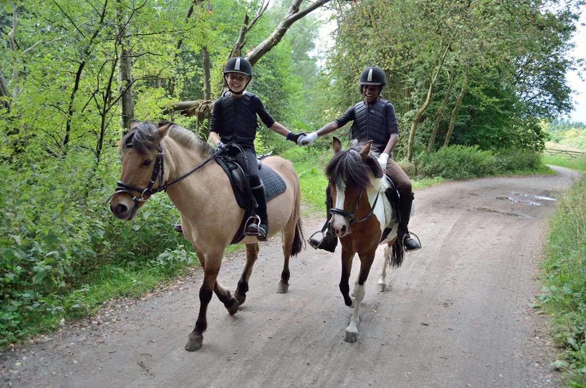 Anden særlig race Frk. Zafir billede 10