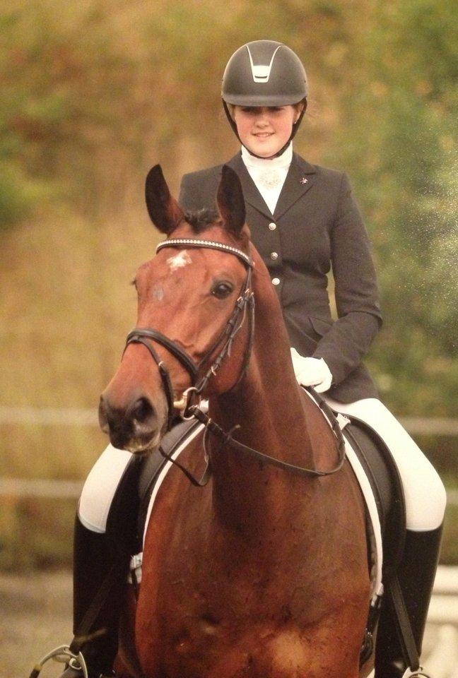 Dansk Varmblod Ruder Es Havdal - Ved godt han har en lille skræmme i hovedet, men elsker bare billedet... billede 7