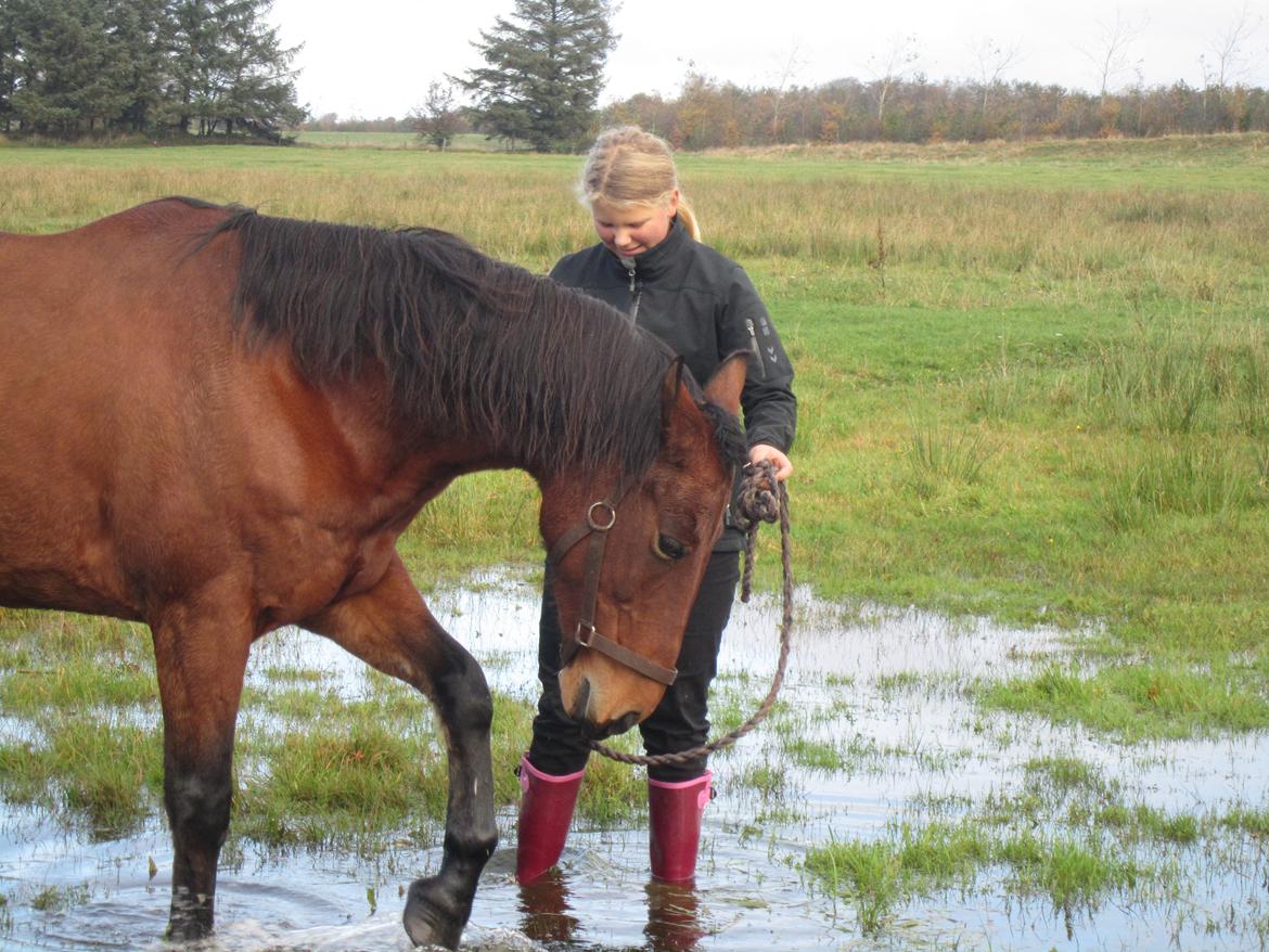 Anden særlig race » Polle <3 - 'Løfte ben' i en vandpyt <3 :-) billede 8